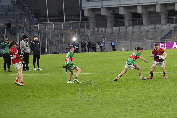 AN DAINGEAN ÓG-PEILEADÓIRÍ 2026-59