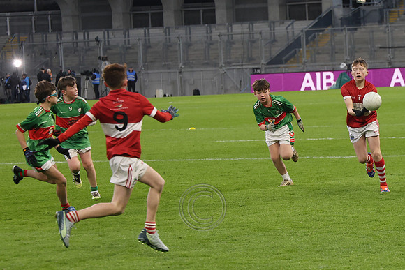 AN DAINGEAN ÓG-PEILEADÓIRÍ 2026-60