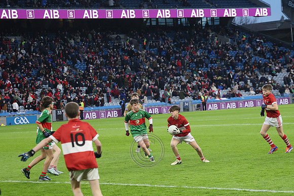 AN DAINGEAN ÓG-PEILEADÓIRÍ 2026-63