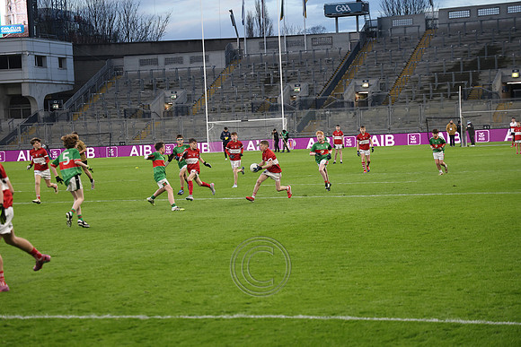 AN DAINGEAN ÓG-PEILEADÓIRÍ 2026-65