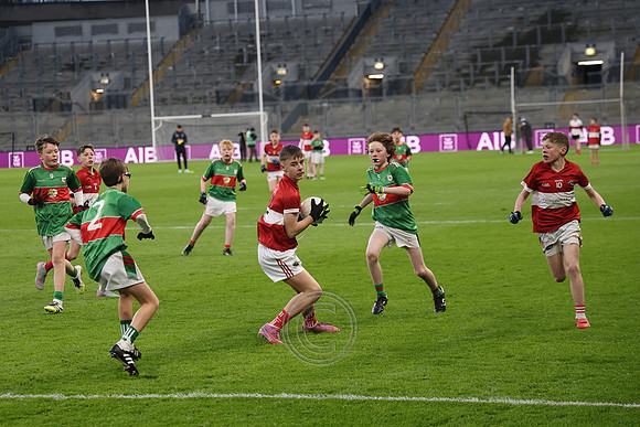 AN DAINGEAN ÓG-PEILEADÓIRÍ 2026-67
