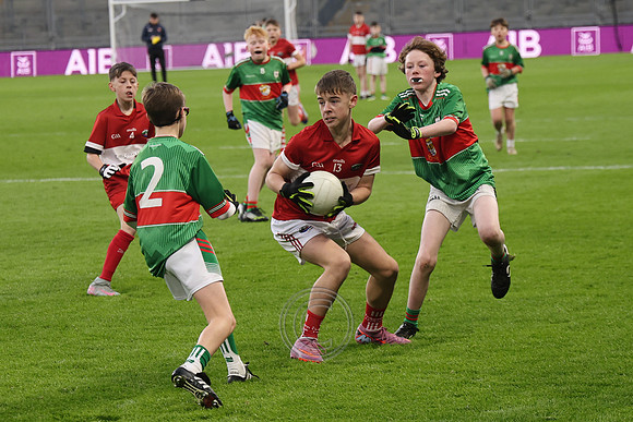AN DAINGEAN ÓG-PEILEADÓIRÍ 2026-68