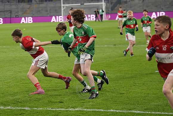 AN DAINGEAN ÓG-PEILEADÓIRÍ 2026-69