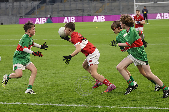AN DAINGEAN ÓG-PEILEADÓIRÍ 2026-70