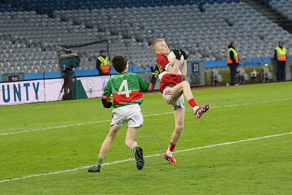 AN DAINGEAN ÓG-PEILEADÓIRÍ 2026-71