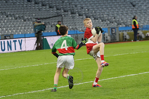AN DAINGEAN ÓG-PEILEADÓIRÍ 2026-72