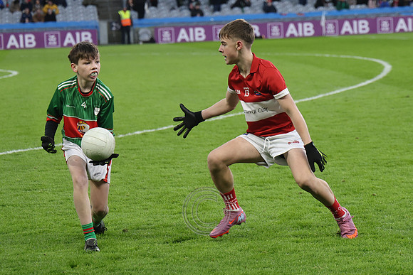 AN DAINGEAN ÓG-PEILEADÓIRÍ 2026-75