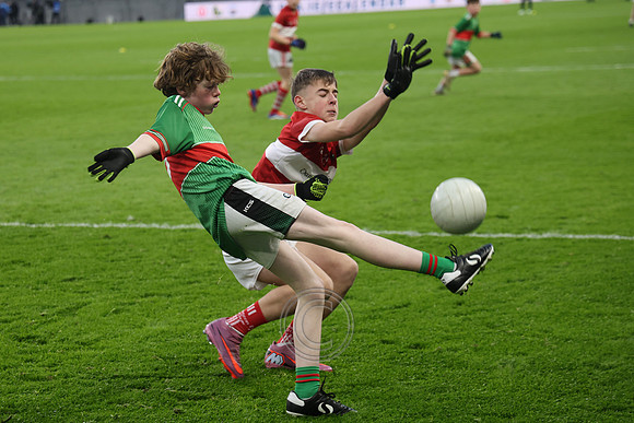 AN DAINGEAN ÓG-PEILEADÓIRÍ 2026-76