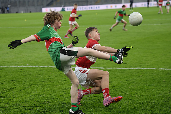 AN DAINGEAN ÓG-PEILEADÓIRÍ 2026-77