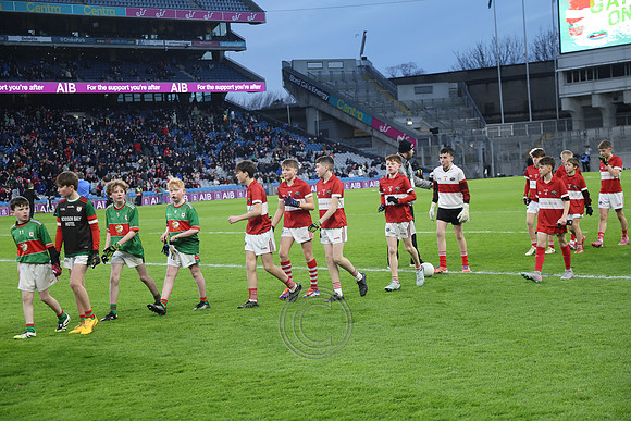 AN DAINGEAN ÓG-PEILEADÓIRÍ 2026-79