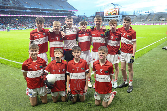 AN DAINGEAN ÓG-PEILEADÓIRÍ 2026-80