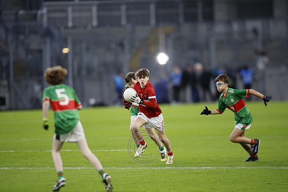 AN DAINGEAN ÓG-PEILEADÓIRÍ 2026-6
