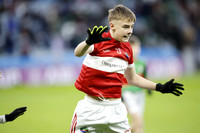 AN DAINGEAN ÓG-PEILEADÓIRÍ 2026-3