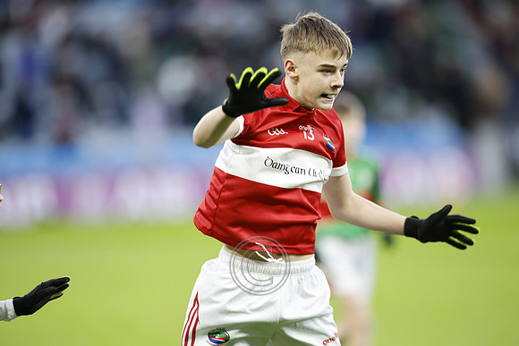 AN DAINGEAN ÓG-PEILEADÓIRÍ 2026-3