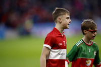 AN DAINGEAN ÓG-PEILEADÓIRÍ 2026-5