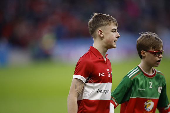 AN DAINGEAN ÓG-PEILEADÓIRÍ 2026-5