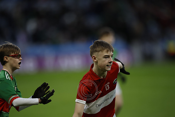 AN DAINGEAN ÓG-PEILEADÓIRÍ 2026-4