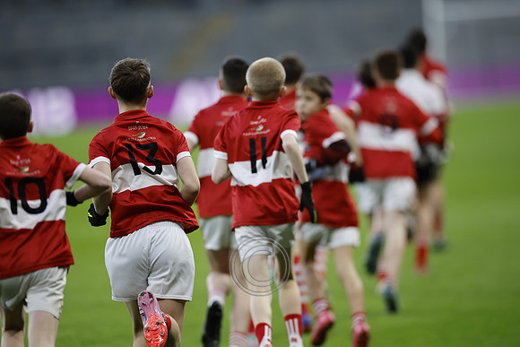 AN DAINGEAN ÓG-PEILEADÓIRÍ 2026-1