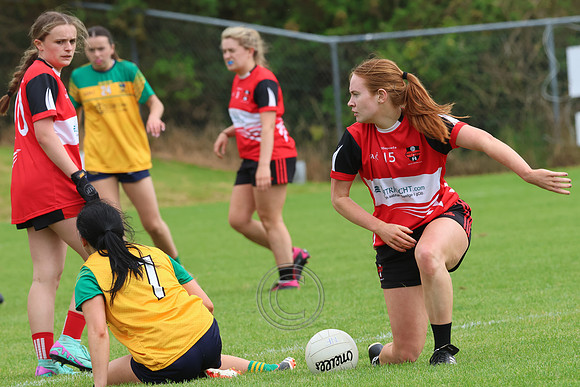 CLANN NA nGAEL V N FIONNBARRA-405