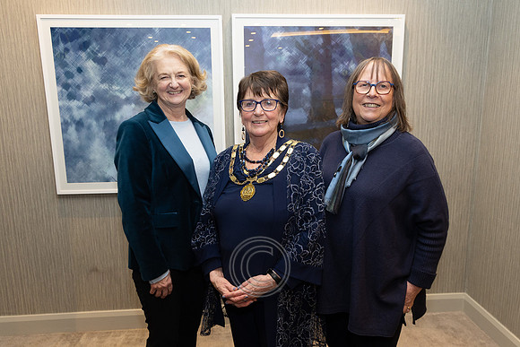 ÁINE NÍ GHLINN INSEALBHÚ-0364