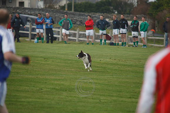 Arann14-0272