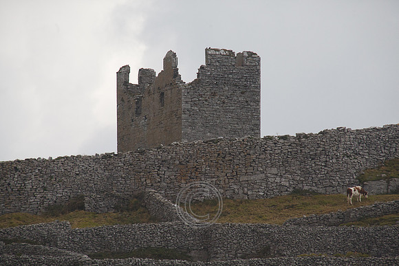 Arann14-0280