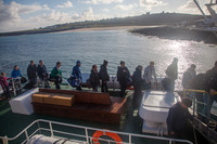 Arann14-0087