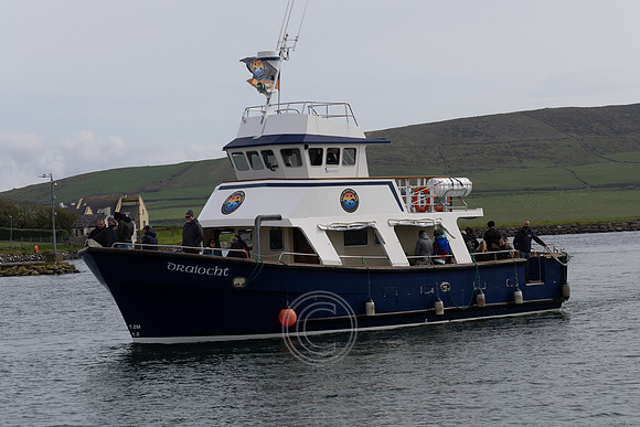 POBAL DINGLE-159