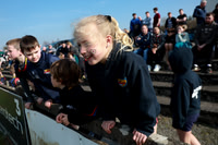 AN GHAELTACHT RUGBAÍ-334