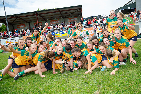 CLANN NA nGAEL V N FIONNBARRA-674