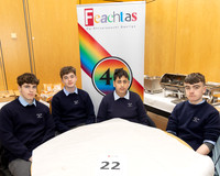 COLÁISTE GHEARÓID NAOFA B-1
