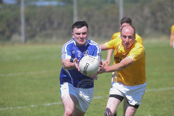 CARNA CAISEAL V GAEIL FHÁNADA-307