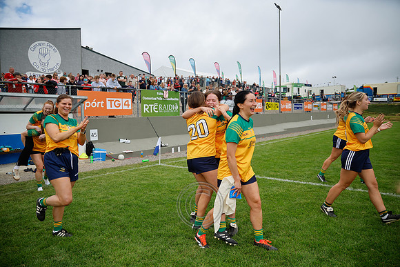CLANN NA nGAEL V N FIONNBARRA-519