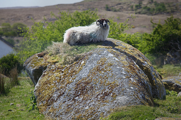 026 Sheep rock 013 3