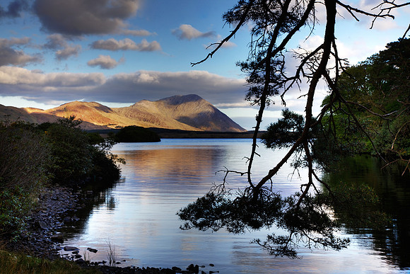 061 Loch Fee