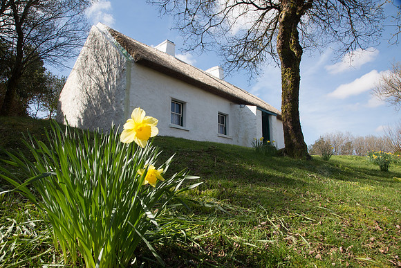 019 Pearse cottage