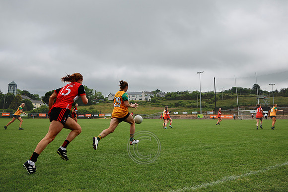 CLANN NA nGAEL V N FIONNBARRA-437