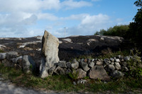 TINE CUILEÁIN-2324