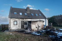 TINE CUILEÁIN-2369
