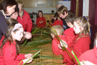 CROIS BHRÍDE 2004-7768