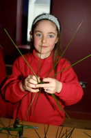 CROIS BHRÍDE 2004-7772