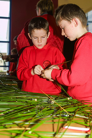 CROIS BHRÍDE 2004-7774