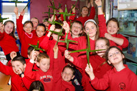 CROIS BHRÍDE 2004-7782