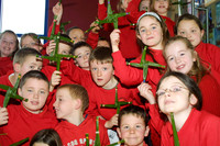 CROIS BHRÍDE 2004-7784