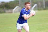 NA PIARSAIGH V GAEIL FHÁNADA