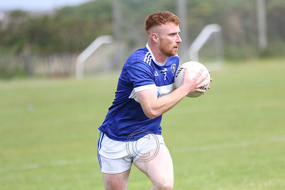 NA PIARSAIGH V GAEIL FHÁNADA