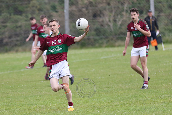 NA PIARSAIGH V GAEIL FHÁNADA