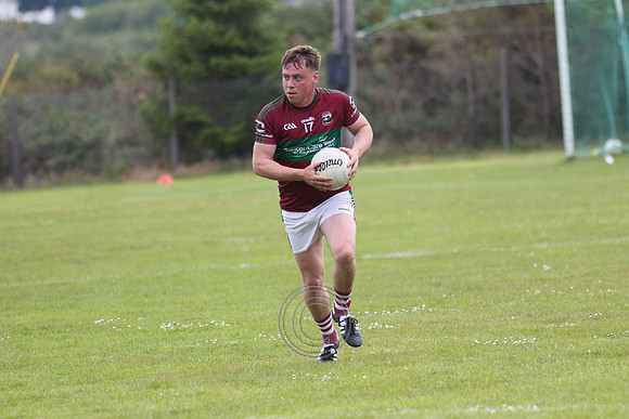 NA PIARSAIGH V GAEIL FHÁNADA