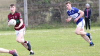 NA PIARSAIGH V GAEIL FHÁNADA