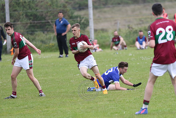 NA PIARSAIGH V GAEIL FHÁNADA